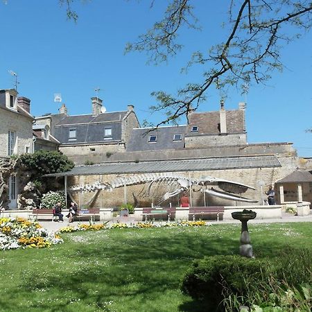 50 M2 De Charme Au Coeur Des Plaisirs De La Cote Appartement Luc-sur-Mer Buitenkant foto